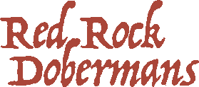 Red Rock Dobermans